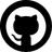 GitHub icon